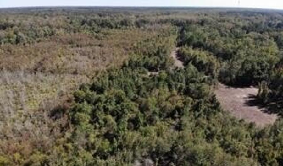 Broxton Bridge Road, Bamberg, SC 29003 - 0 Beds, 0 Bath