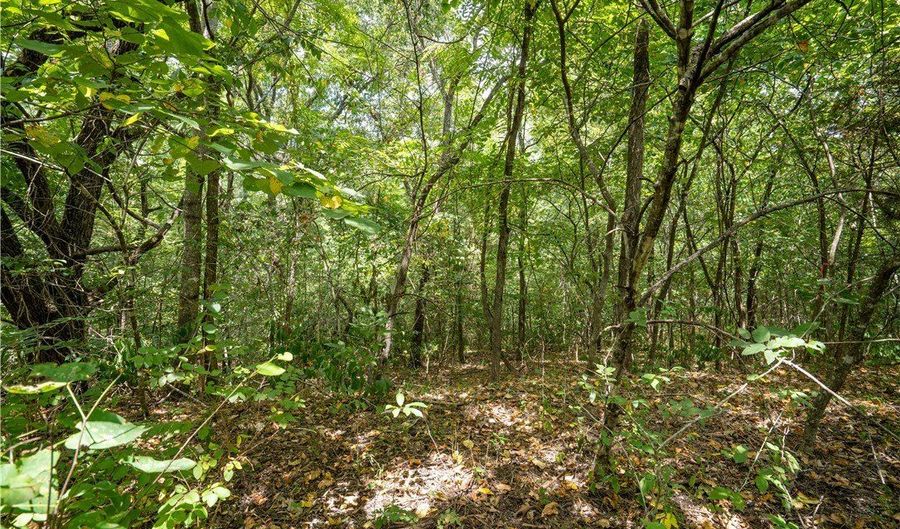 Ashdown Lane lot 19, Bella Vista, AR 72714 - 0 Beds, 0 Bath