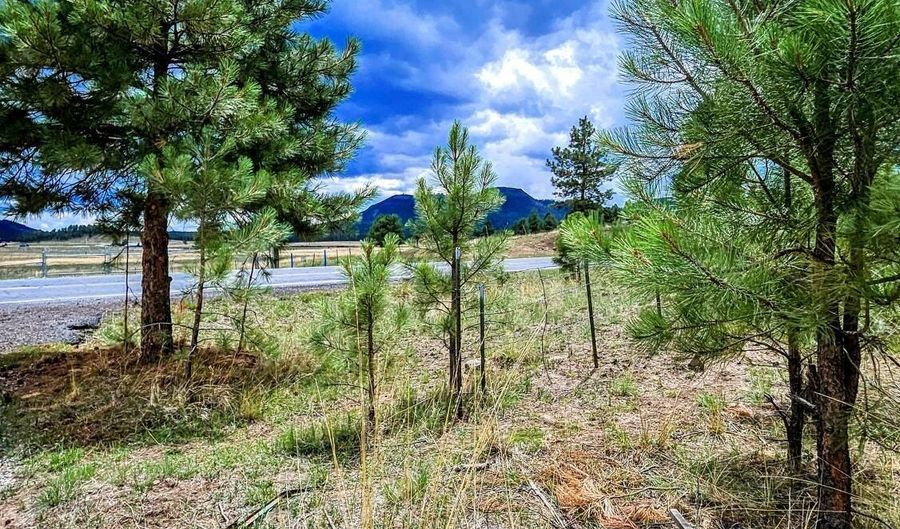 8 N ACR 2062, Alpine, AZ 85920 - 0 Beds, 0 Bath