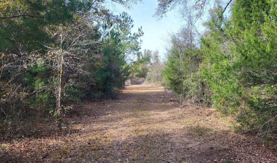 Tommy Tucker Road lot 4, Altha, FL 32421 - 0 Beds, 0 Bath