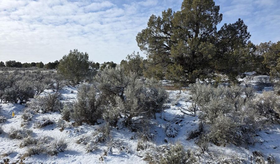 ROAD 2772, Aztec, NM 87410 - 0 Beds, 0 Bath