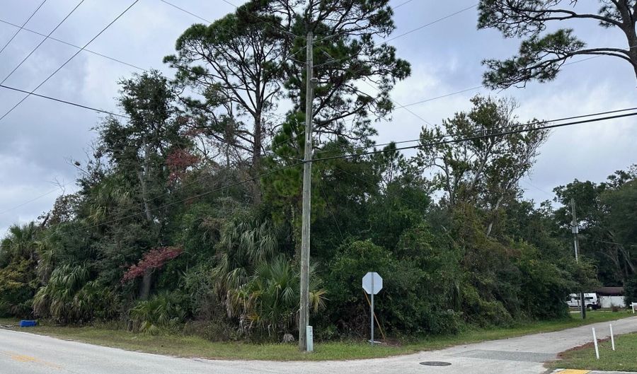 W DUTTON ISLAND Road, Atlantic Beach, FL 32233 - 0 Beds, 0 Bath