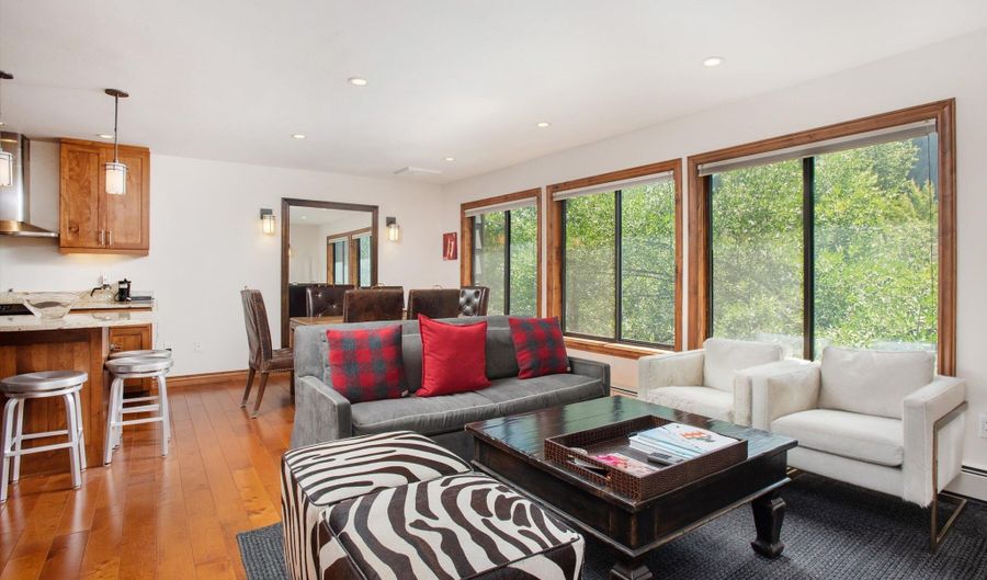 725 E Main St #309, Aspen, CO 81611 - 2 Beds, 1 Bath