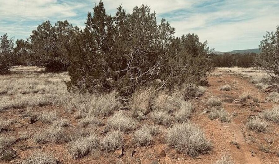 Lot 43nw Tides Trl, Ash Fork, AZ 86320 - 0 Beds, 0 Bath