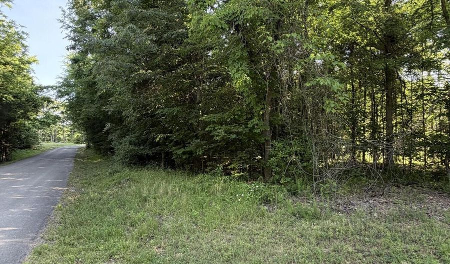 Cove lot 1023, Baneberry, TN 37890 - 0 Beds, 0 Bath