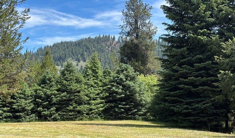 62 Newell Dr, Cascade, ID 83611 - 1 Beds, 1 Bath