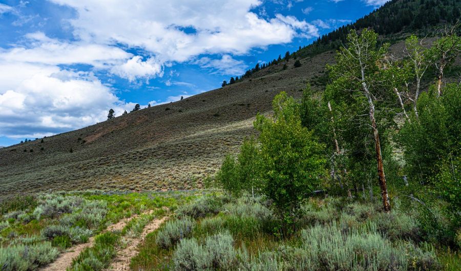 Round Mountain Road, Almont, CO 81210 - 0 Beds, 0 Bath