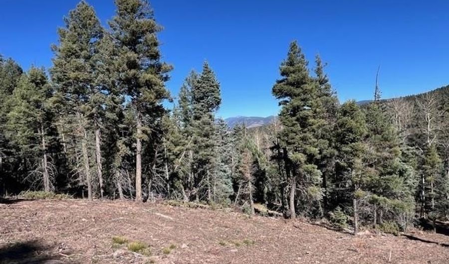Vail Loop lot 373, Angel Fire, NM 87710 - 0 Beds, 0 Bath