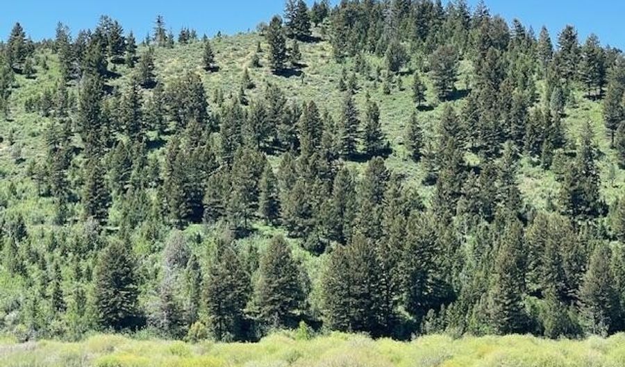 5001 FAIRVIEW SPG CRK Rd, Afton, WY 83110 - 0 Beds, 0 Bath