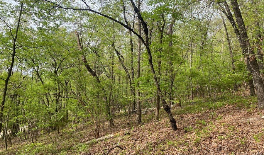 595 Ridgeview Lake Dr, Alabaster, AL 35007 - 0 Beds, 0 Bath