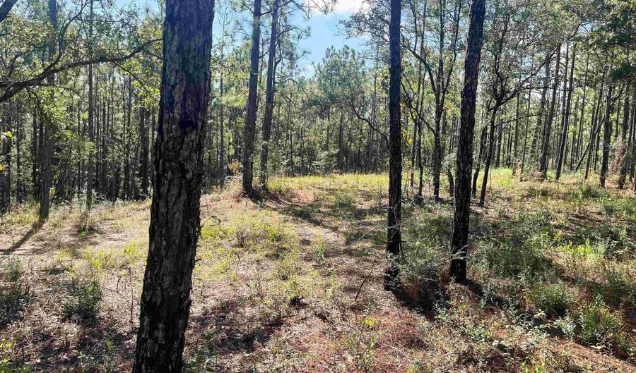 0 State Highway 225, Bay Minette, AL 36507 - 0 Beds, 0 Bath