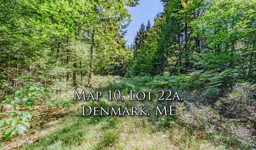 Lot 22a Forest Glen Drive, Denmark, ME 04022 - 0 Beds, 0 Bath