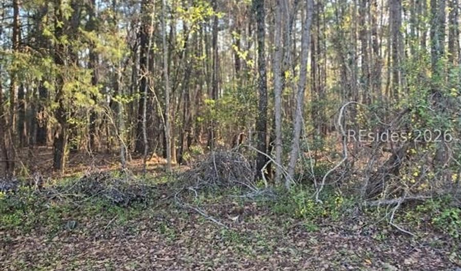 Freeman Street lot 12, Brunson, SC 29911 - 0 Beds, 0 Bath