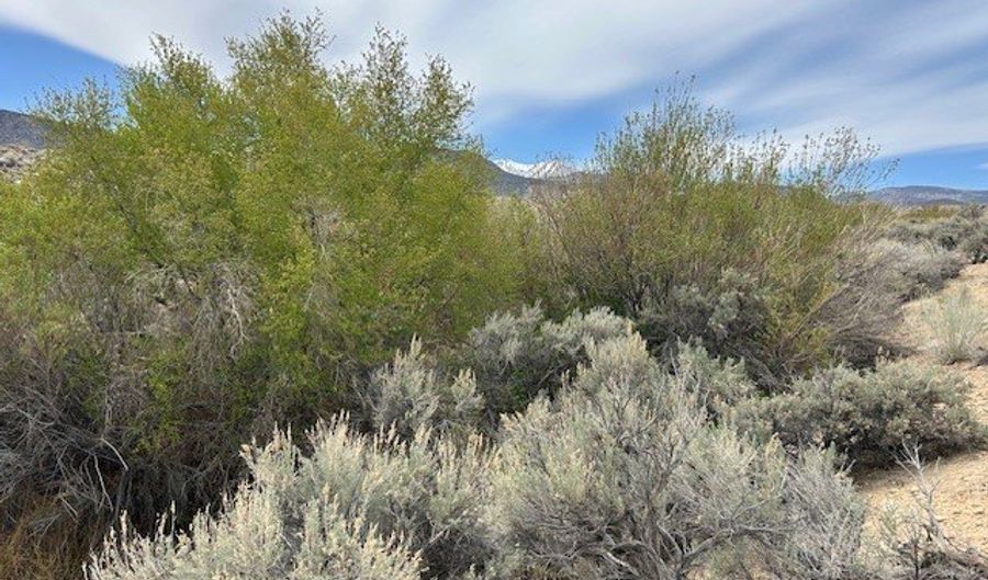740 CHIATOVICH CREEK Rd, Dyer, NV 89010 - 0 Beds, 0 Bath