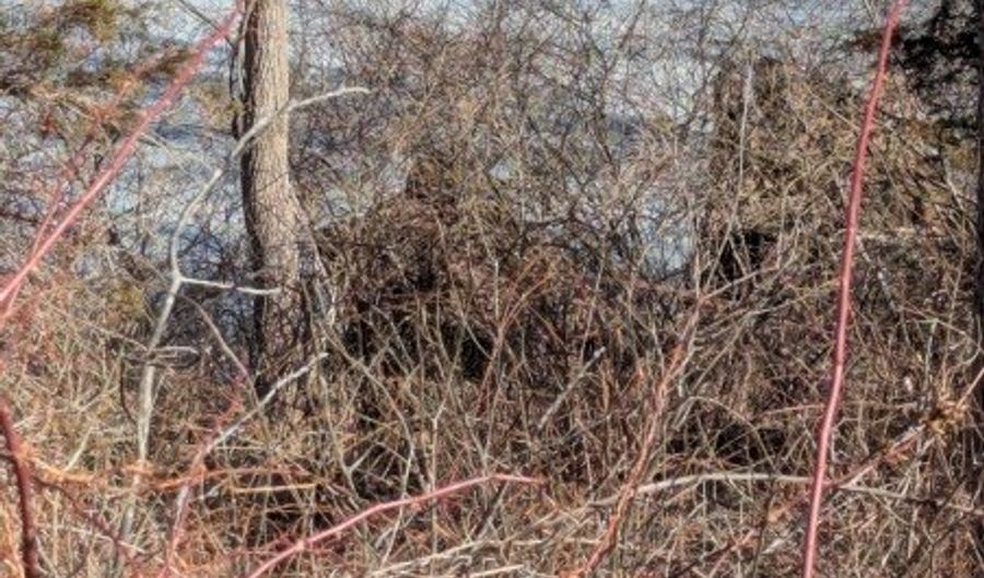 601 Route 517, Alloway, NJ 07461 - 0 Beds, 0 Bath