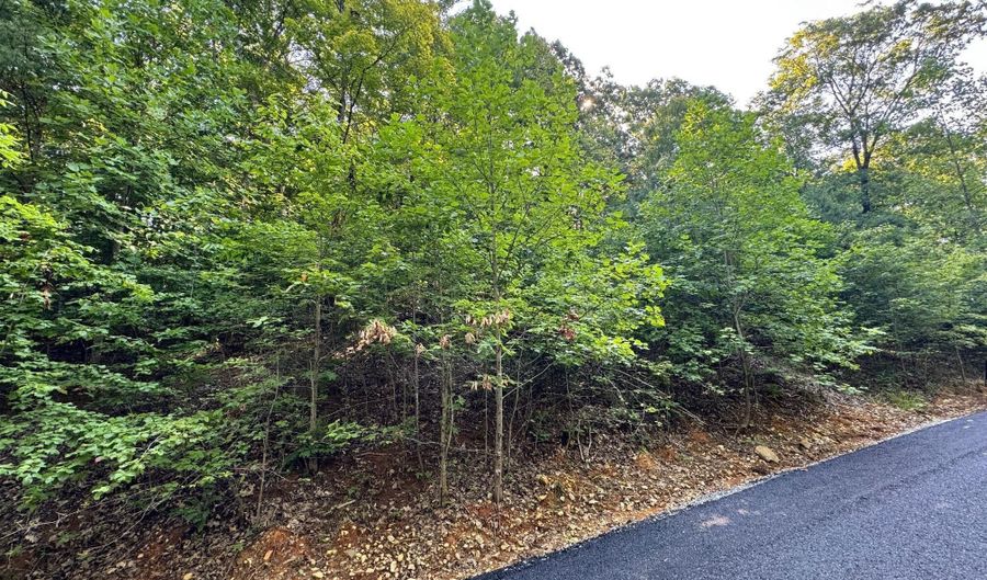 626 N Pointe Trl, Allons, TN 38541 - 0 Beds, 0 Bath