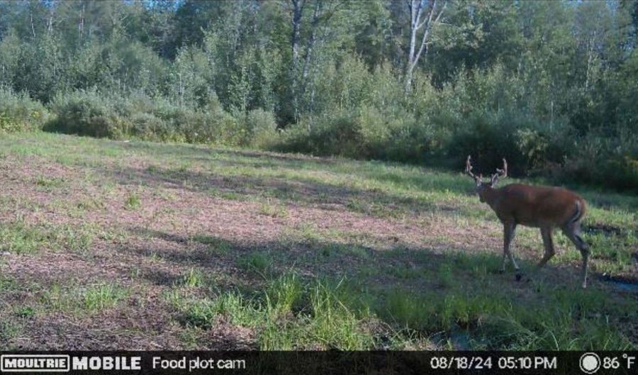 0000 CTH H, Antigo, WI 54409 - 0 Beds, 0 Bath