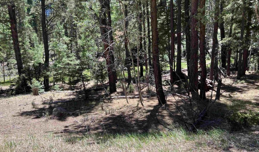 Alpine Lake Way Lot 3 Blk E, Angel Fire, NM 87710 - 0 Beds, 0 Bath