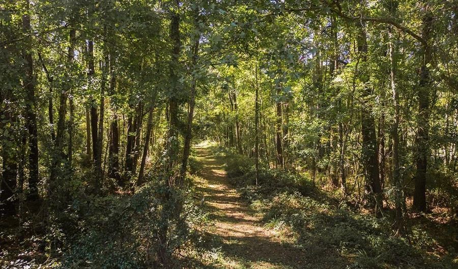 State Rd 121, Alachua, FL 32615 - 0 Beds, 0 Bath