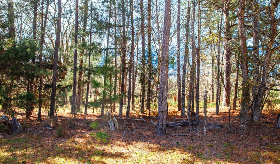 MISTLETOE RD lot 7, Appling, GA 30802 - 0 Beds, 0 Bath