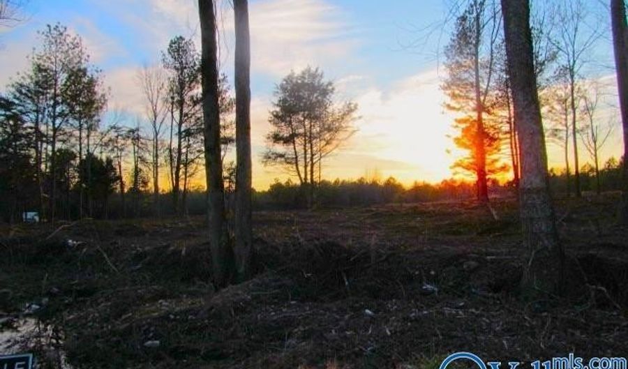 11 Hogs Ln, Albertville, AL 35951 - 0 Beds, 0 Bath