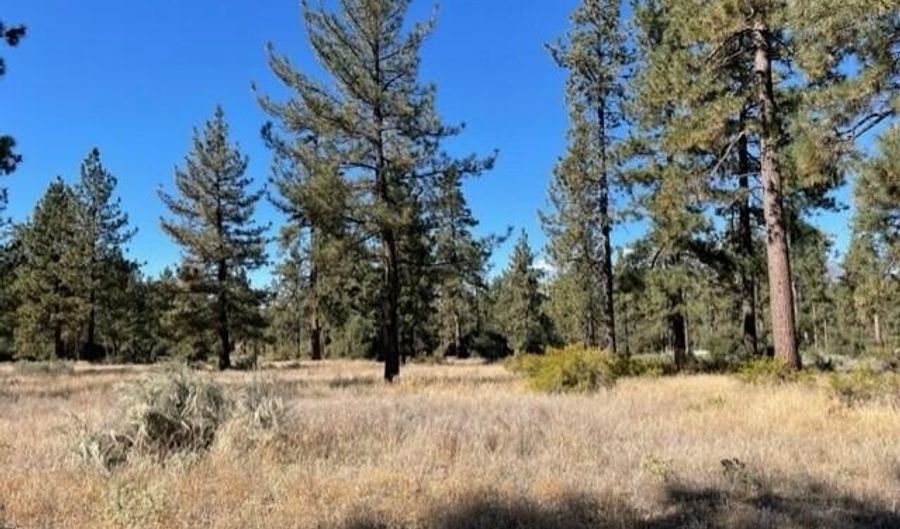 Lot 18 Pyramid Peak Road, Mountain Center, CA 92561 - 0 Beds, 0 Bath