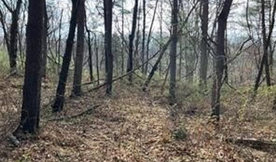 SHANKTOWN Road lot 10, Big Pool, MD 21711 - 0 Beds, 0 Bath