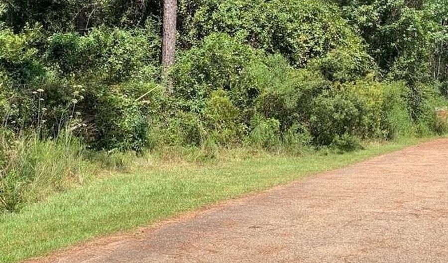 SQ 29 CRAIN Street lot 9-16, Abita Springs, LA 70420 - 0 Beds, 0 Bath