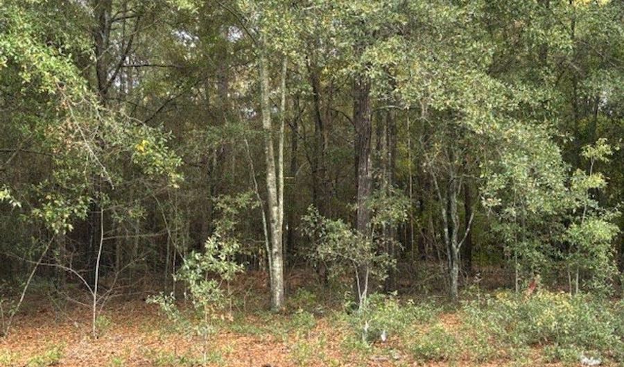 Lot 31 Marie Lane, Bainbridge, GA 39817 - 0 Beds, 0 Bath