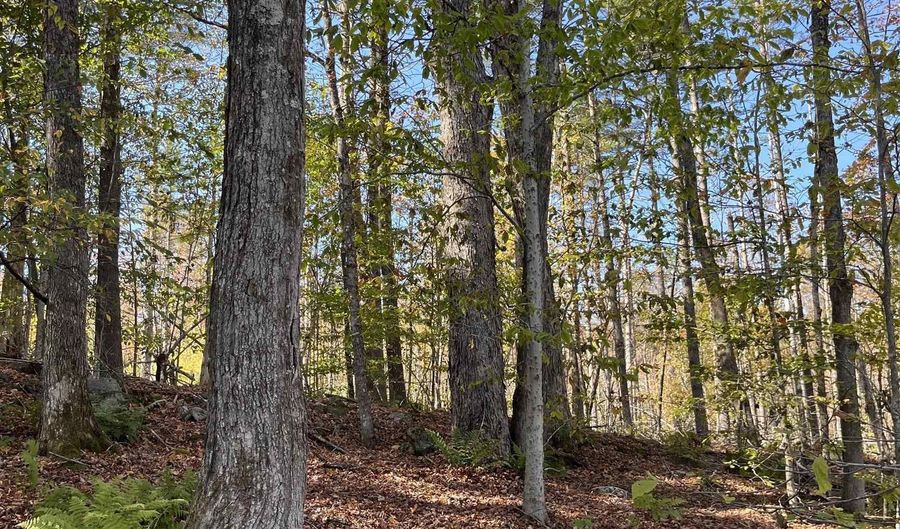 Map 227 Lot 007 Underwood Road, Acworth, NH 03601 - 0 Beds, 0 Bath