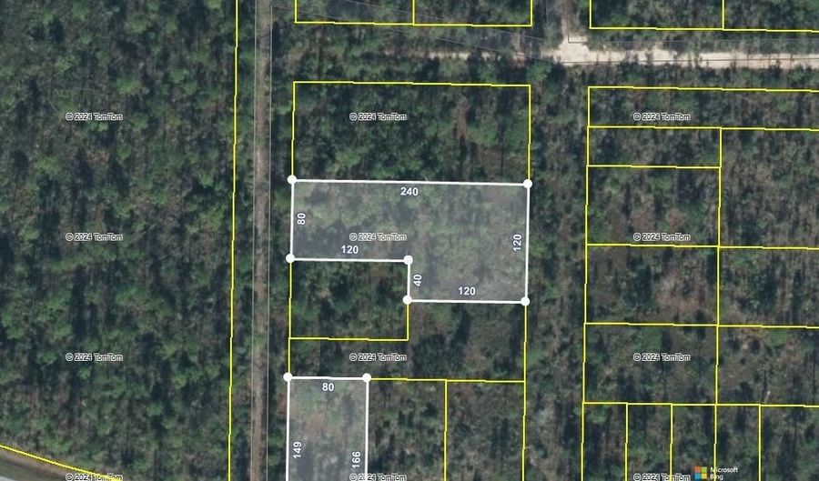 NW Cr 274 / Compass Lake Avenue, Altha, FL 32438 - 0 Beds, 0 Bath