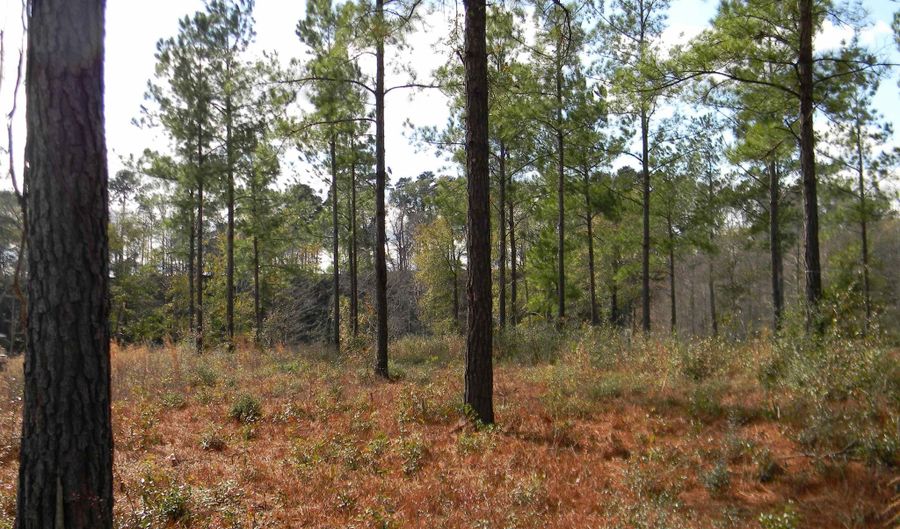 Harbor Rd lot 2, Andalusia, AL 36421 - 0 Beds, 0 Bath