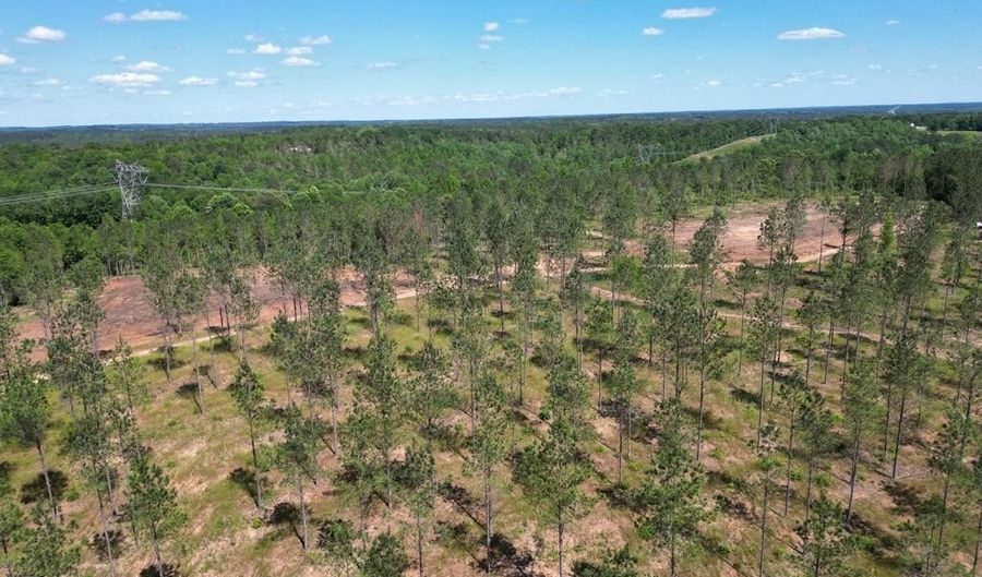 4 AL SR 223, Banks, AL 36005 - 0 Beds, 0 Bath