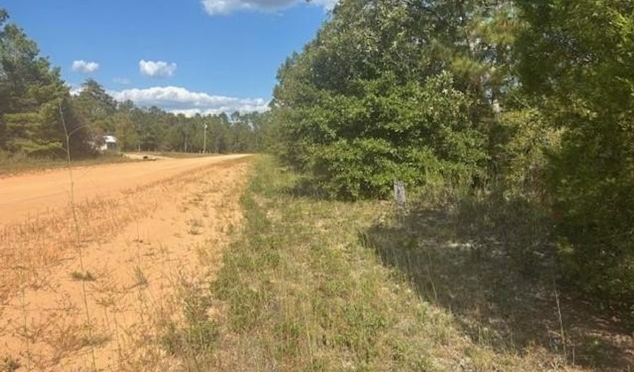 Nezperce Drive, Alford, FL 32420 - 0 Beds, 0 Bath