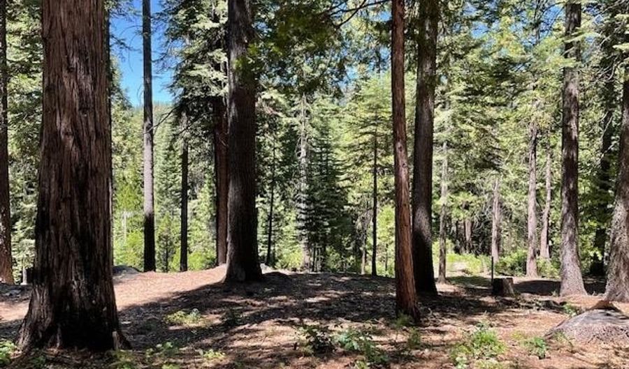 1619 Shoshone Dr, Arnold, CA 95223 - 0 Beds, 0 Bath