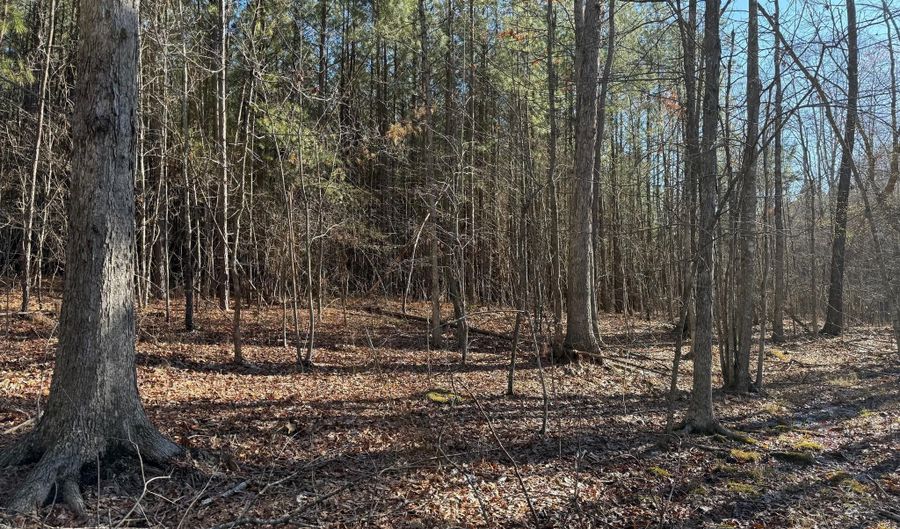 MOUNTAIN CUT RD lot D, Appomattox, VA 24522 - 0 Beds, 0 Bath
