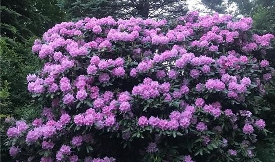 274 Highland Cir, Banner Elk, NC 28604 - 3 Beds, 3 Bath