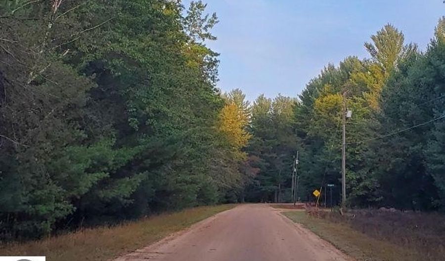 0 Buffalo Trl, Alger, MI 48610 - 0 Beds, 0 Bath