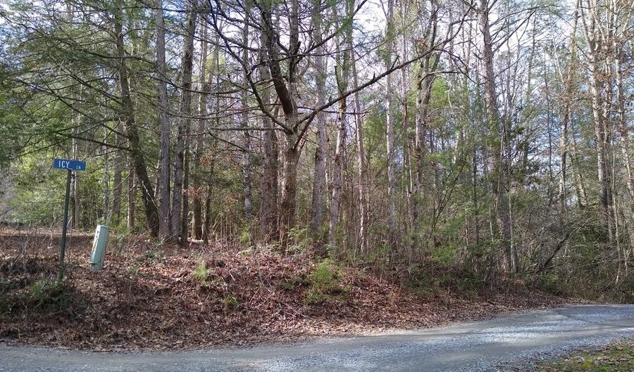 LT 87 ICY LANE Lot 86/87, Blue Ridge, GA 30513 - 0 Beds, 0 Bath