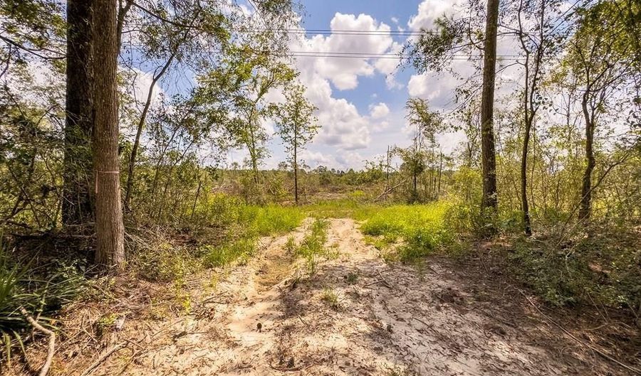 R53358 Tract 1 Hwy 94, Apple Springs, TX 75926 - 0 Beds, 0 Bath