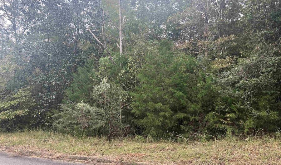 Kanrai Ln, Andalusia, AL 36421 - 0 Beds, 0 Bath