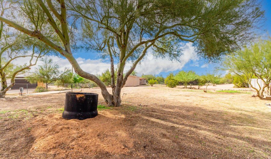 30230 N 66TH St, Cave Creek, AZ 85331 - 2 Beds, 2 Bath