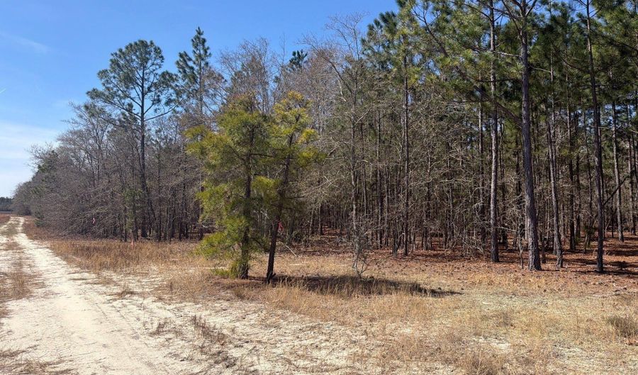 Bhl 10 Boise Cascade Bhl 10, Bethune, SC 29009 - 0 Beds, 0 Bath