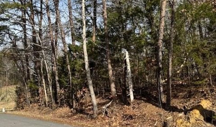 Tree Line Lane lot 1191, Baneberry, TN 37890 - 0 Beds, 0 Bath
