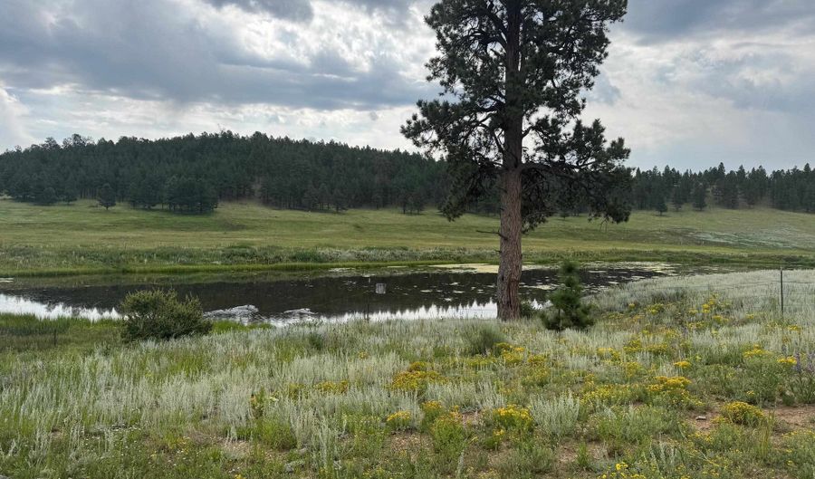 Lot 39 Whymans Black Lake Estates, Angel Fire, NM 87710 - 0 Beds, 0 Bath