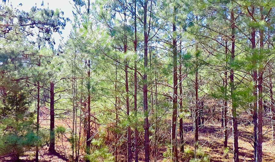Loon Road, Barnwell, SC 29812 - 0 Beds, 0 Bath