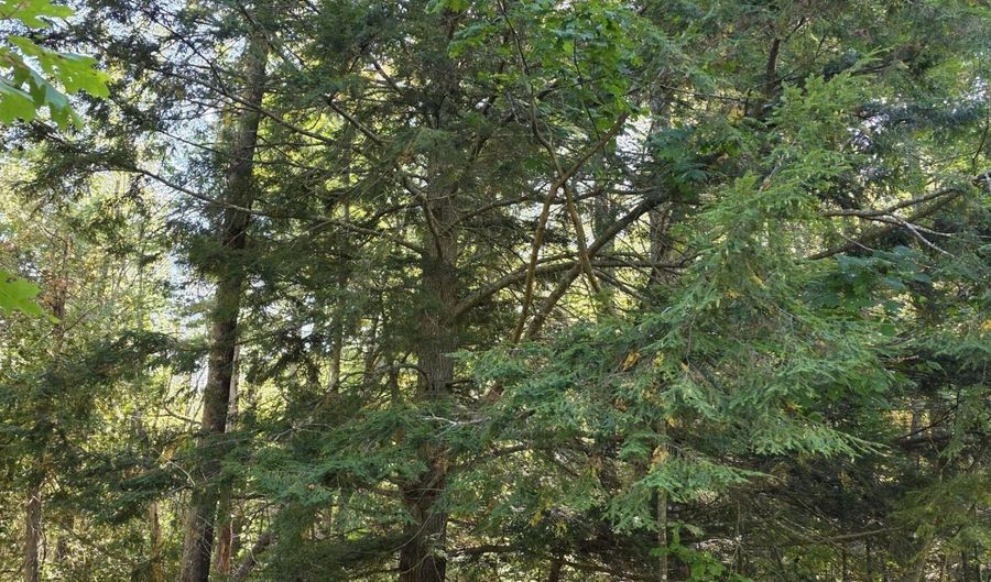 Back Searsport Road, Belfast, ME 04915 - 0 Beds, 0 Bath