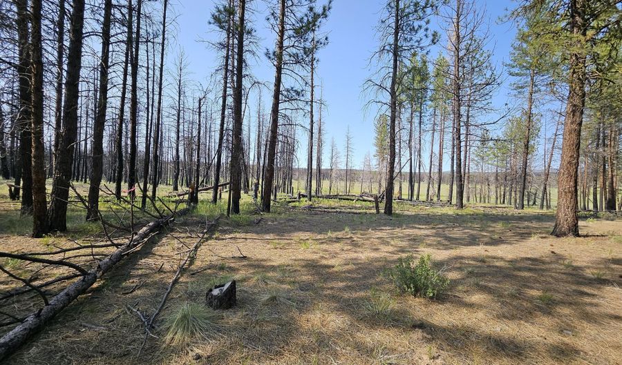 Parazoo Trail Lot 2 Block 8, Bly, OR 97622 - 0 Beds, 0 Bath