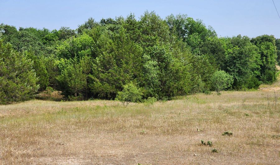 County Road 1270, Alvord, TX 76225 - 0 Beds, 0 Bath