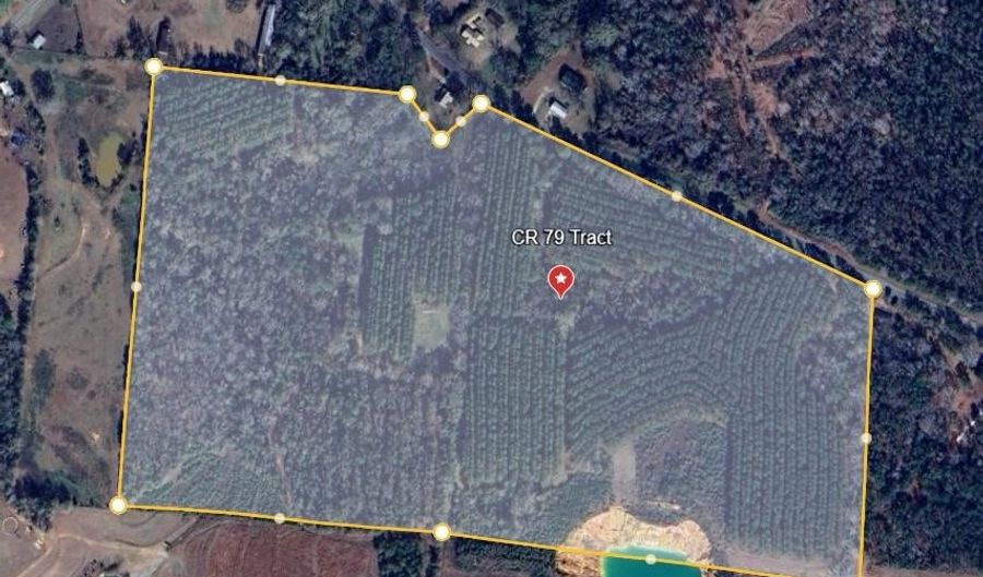 0 County Road 79 S, Baker Hill, AL 36027 - 0 Beds, 0 Bath